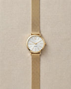 Classic Charm Mesh Watch